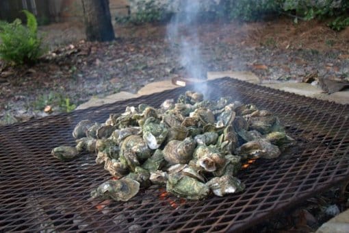 Oyster fire roast 