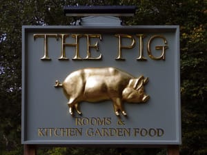 the pig