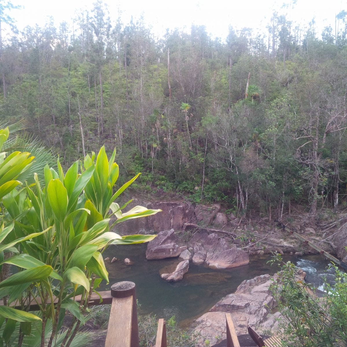 View from our Villa at Blancaneaux