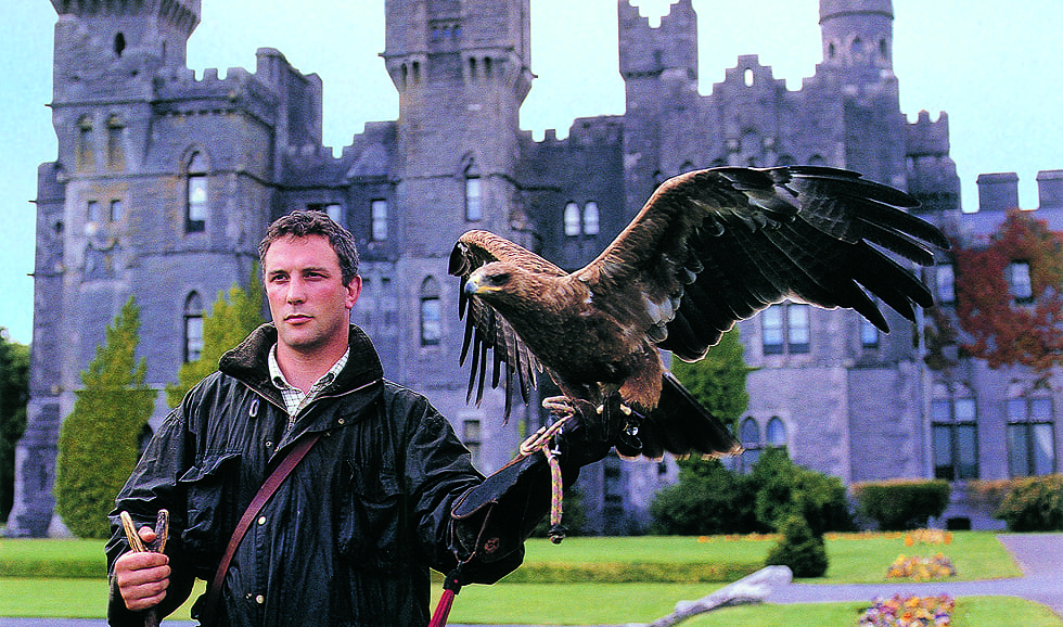 Falconry