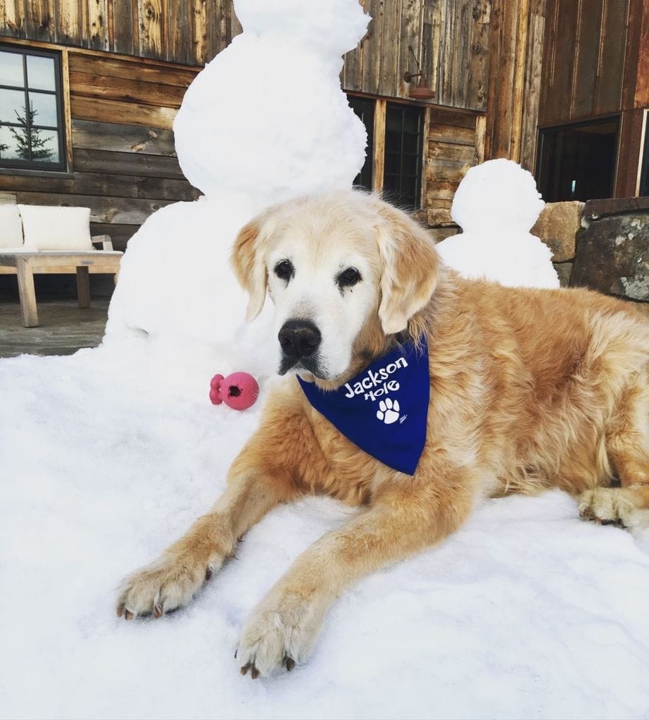 Family Time In Jackson Hole, Wyoming