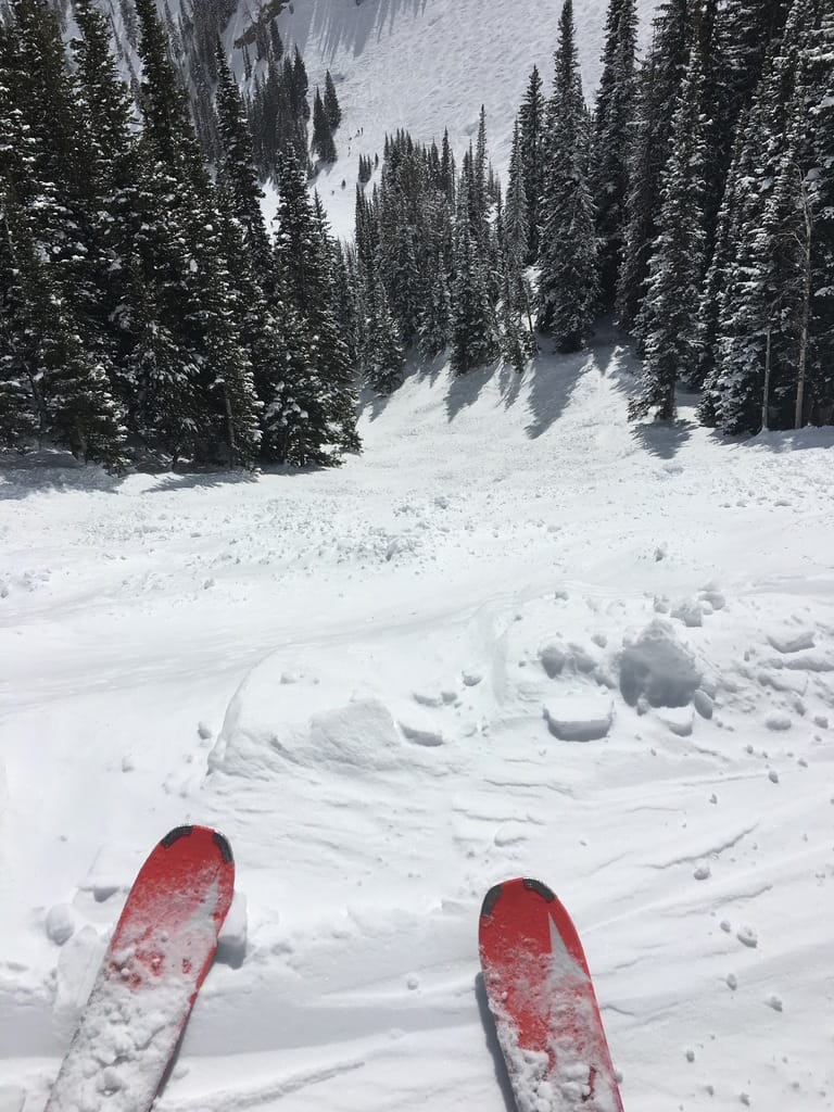 Family Time In Jackson Hole, Wyoming