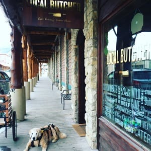 Family Time In Jackson Hole, Wyoming