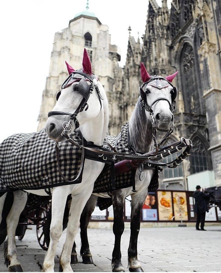 Postcard From: Hotel Sacher, Vienna