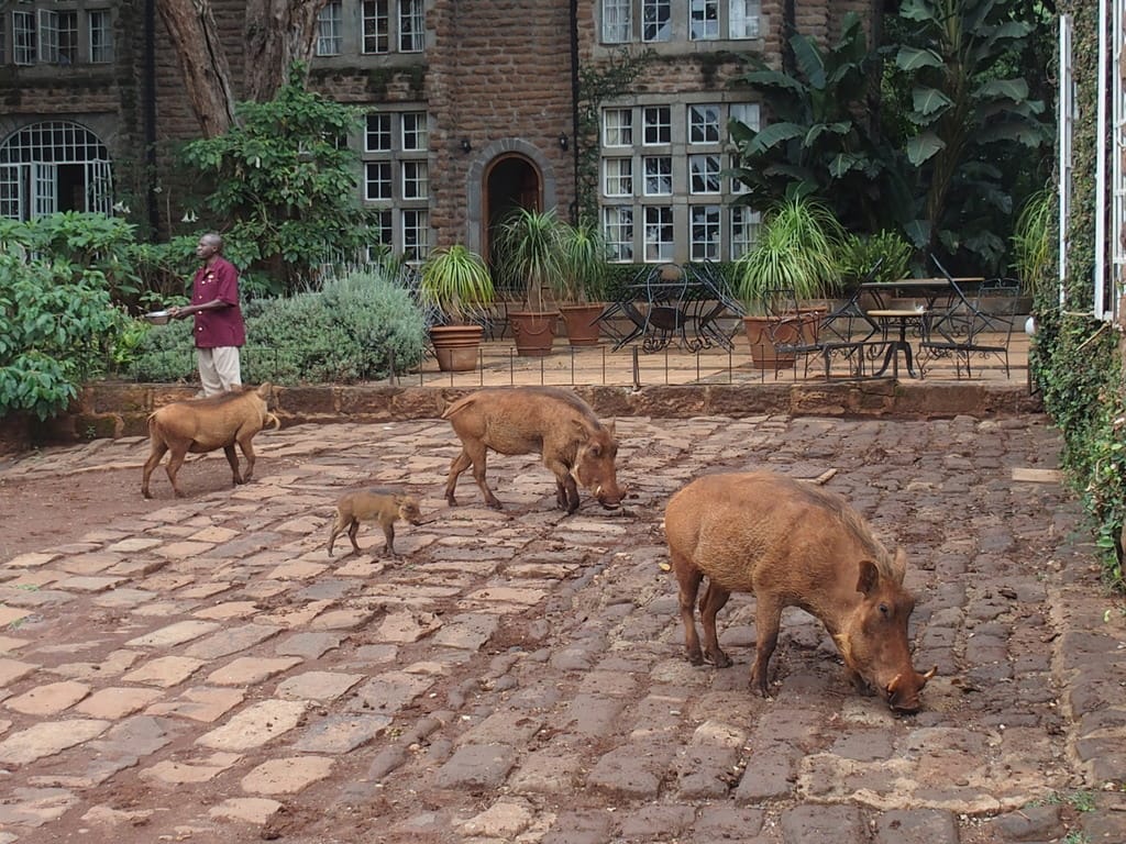 Return to Giraffe Manor in Kenya