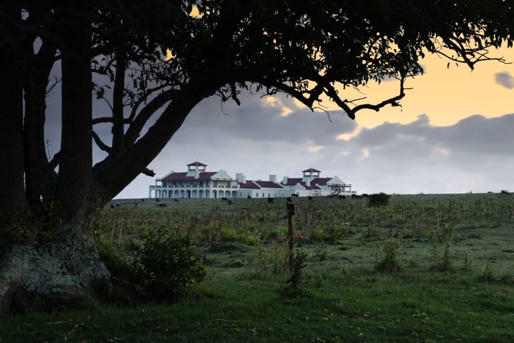 Spotlight On: The Vik Retreats in Uruguay and Chile