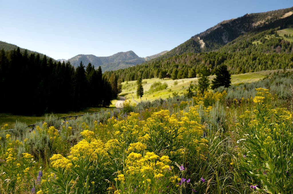 Just Checked Out: Lone Mountain Ranch, Big Sky Montana