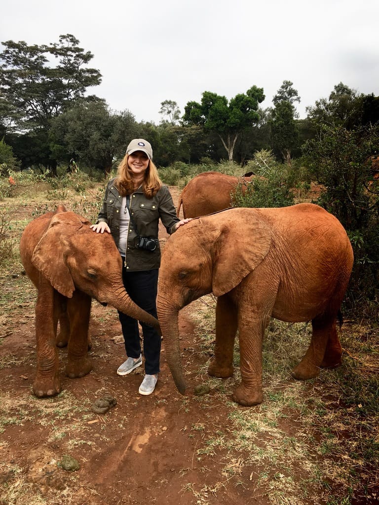 Ivory Only Belongs On Elephants