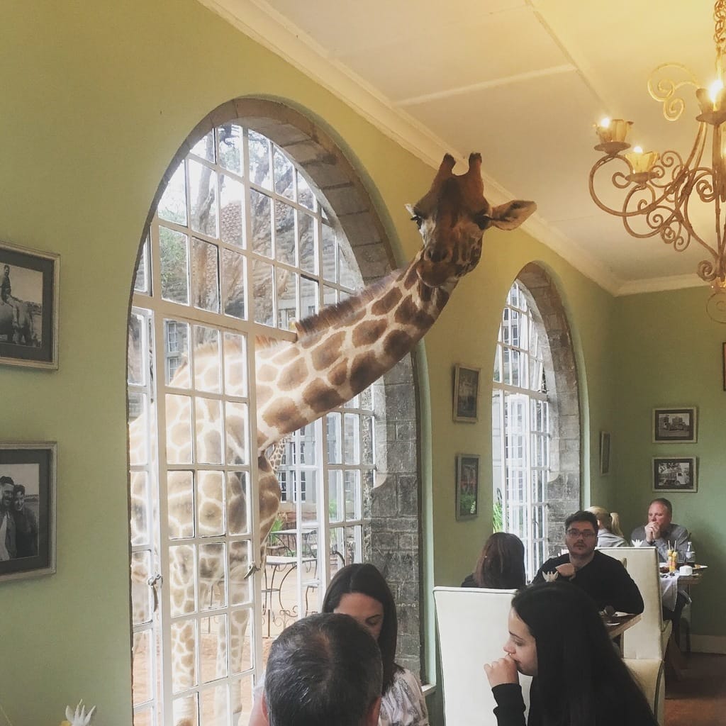 Back (again) to Giraffe Manor in Nairobi, Kenya