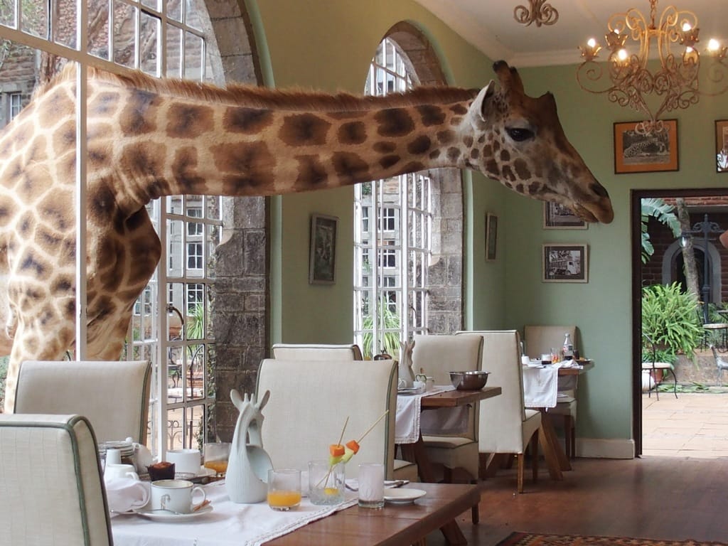 Back (again) to Giraffe Manor in Nairobi, Kenya - Inviato Travel