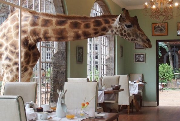 Giraffe-Manor-Nairobi